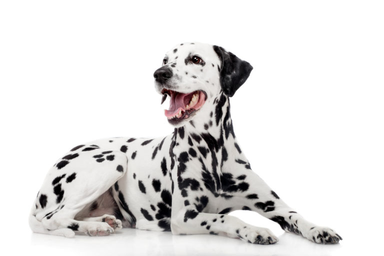 fotolia_63641115-768x512.jpg