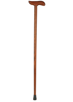 cane_noun_002_05401.jpg