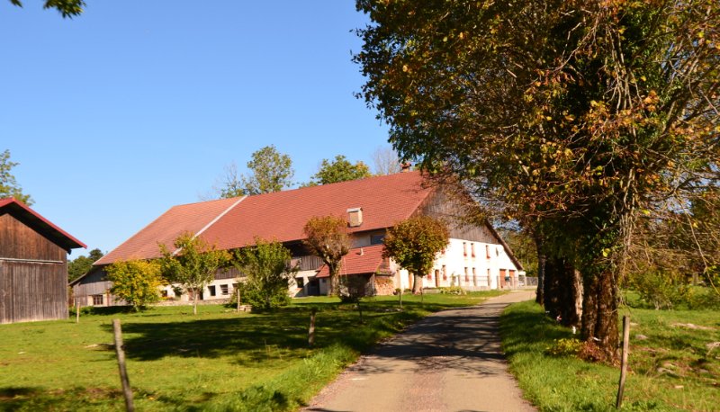 VC 037.JPG