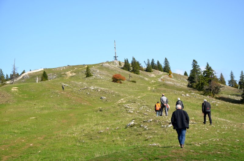 VC 056.JPG