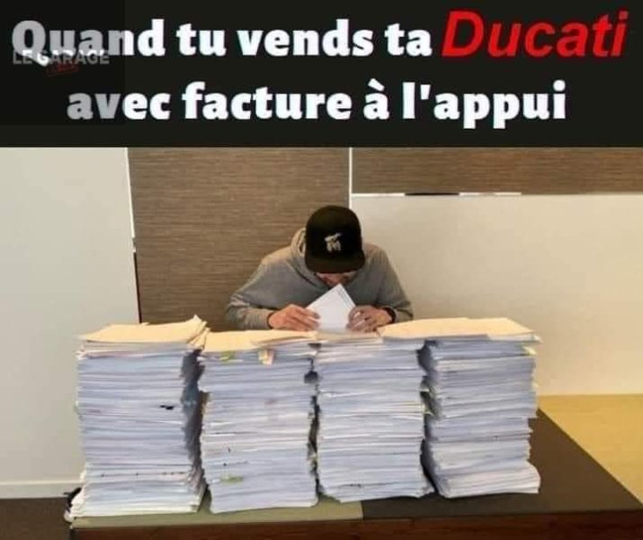 FB_IMG_1665844568291.jpg