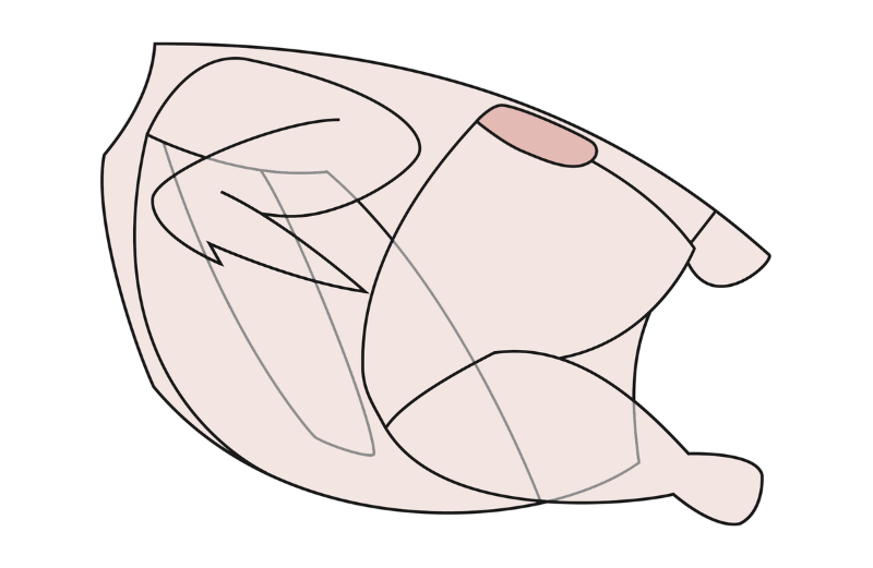 1200px-Huhn-Pfaffenschnittchen.png