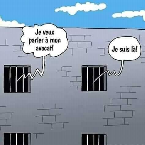 avocat.jpg