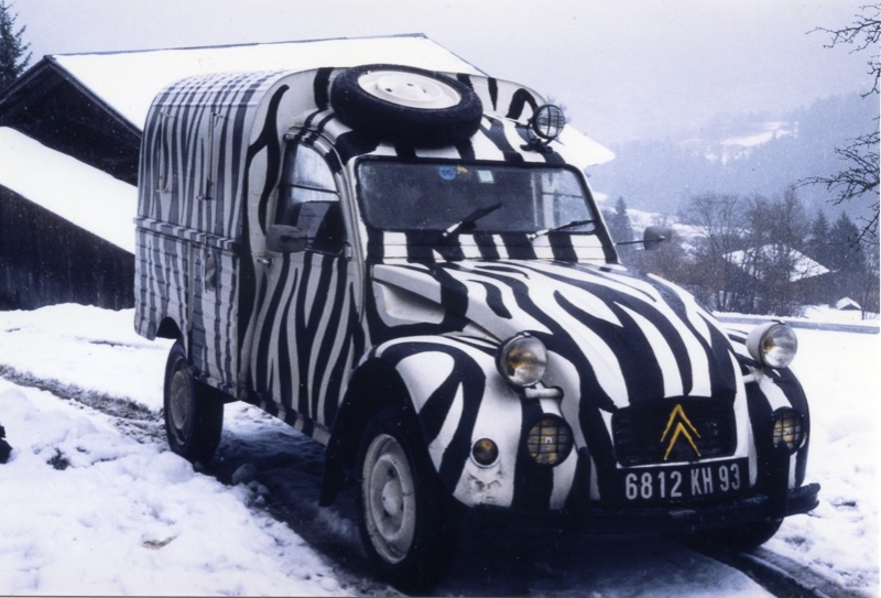 AK 400 zèbre076.jpg