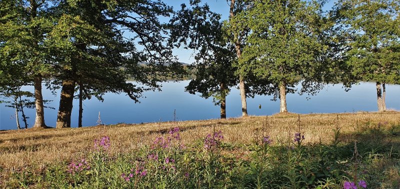 20200909_091417.jpg
