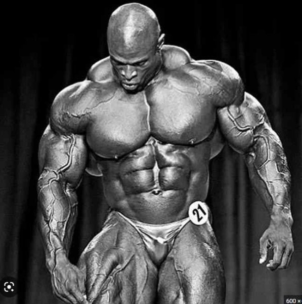 Capture d’écran 2023-04-29 155521.jpg