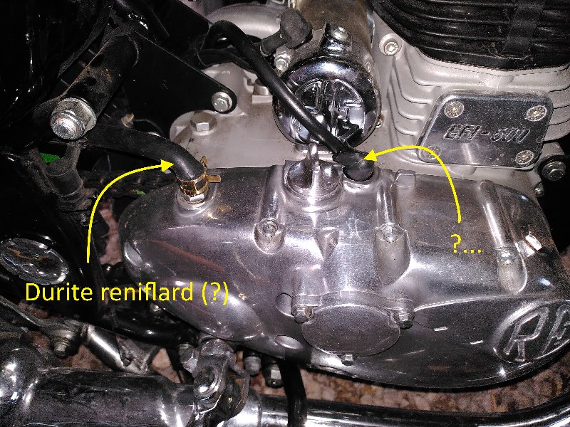 IMG_20230727_211511 forum.jpg