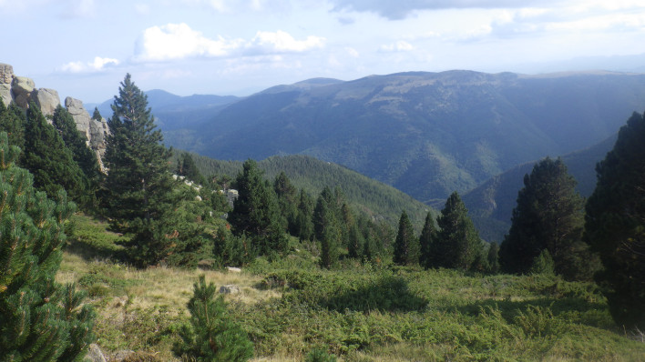 RIMG7786.JPG