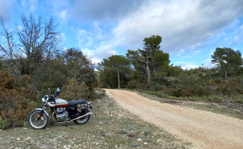 20230302_161658 (2).jpg