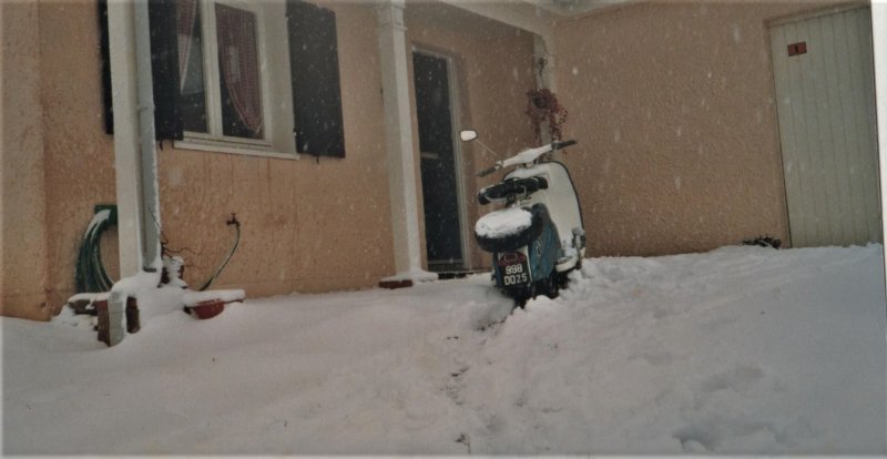 g.jpg