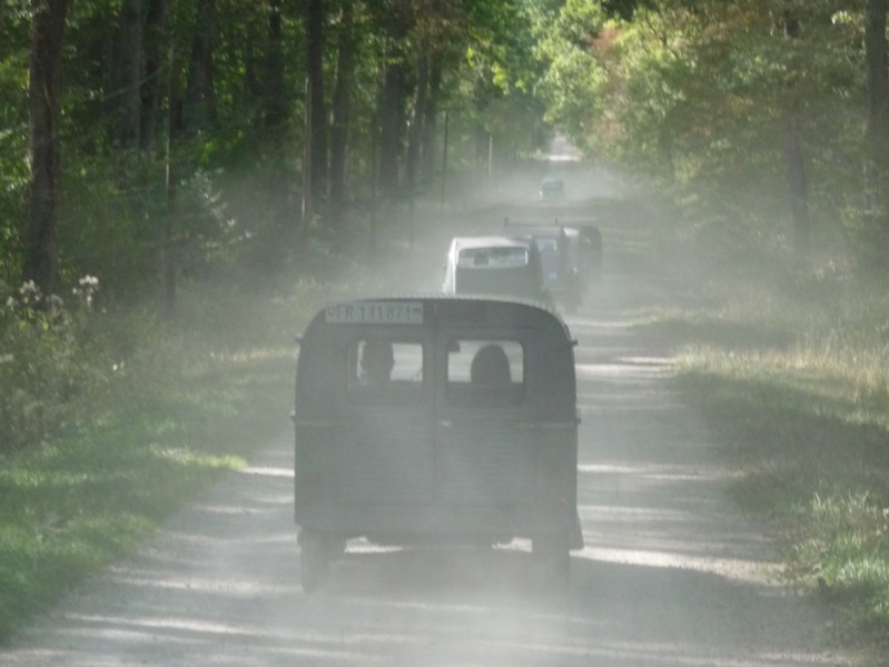 poussière en Tronçais.JPG