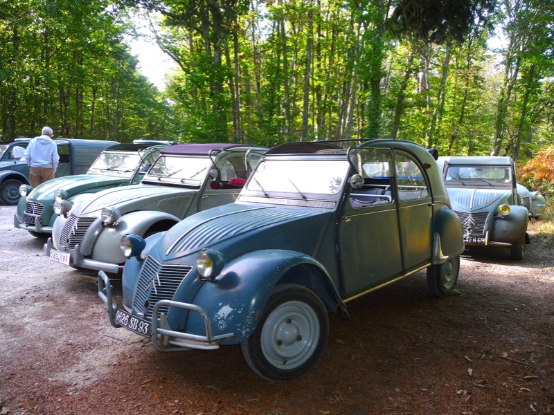 ma 2CV à Tronçais.JPG