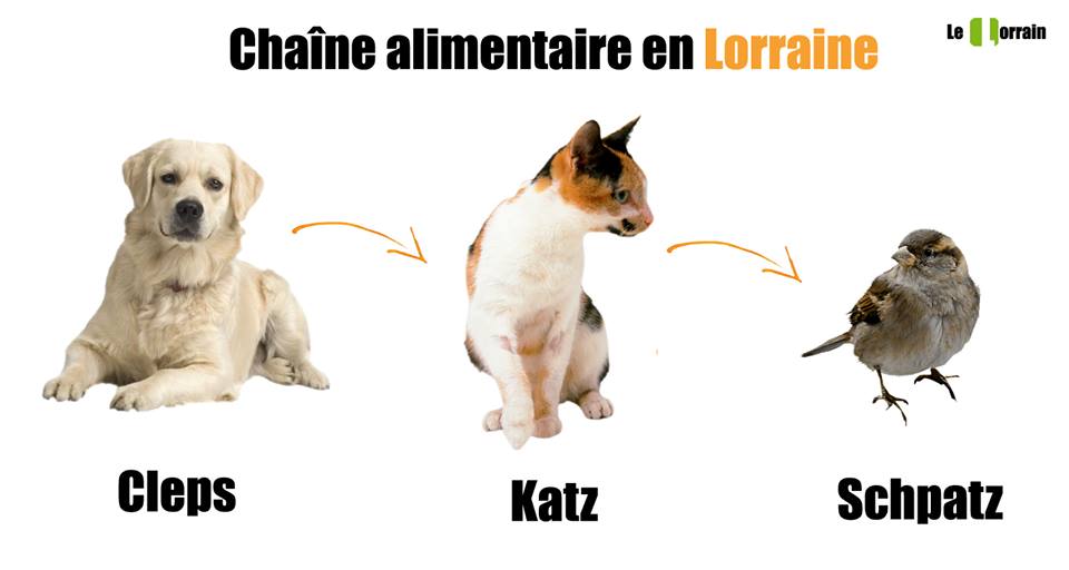 cleps-katz-schpatz (1).jpg