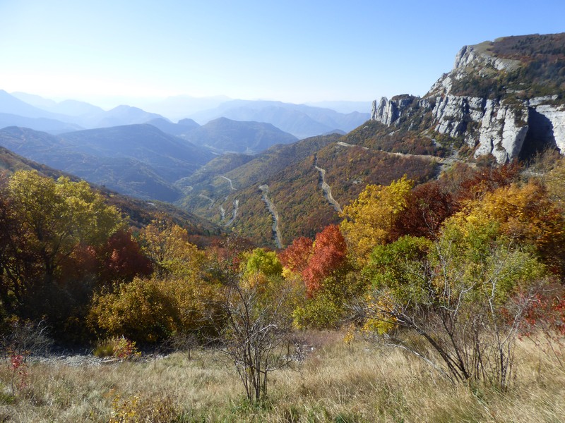P1000851.jpg