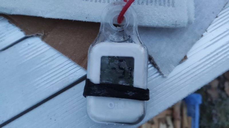 IMG_20240128_075601 (Petit).jpg