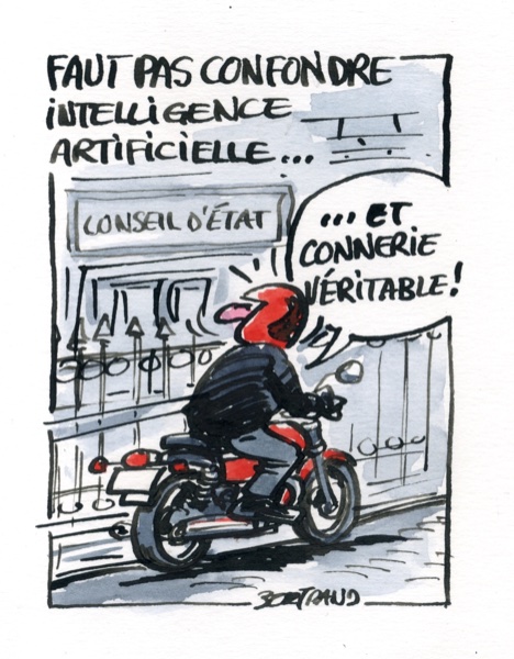 Conseil d'état.jpg