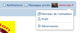 panneau utilisateur.png