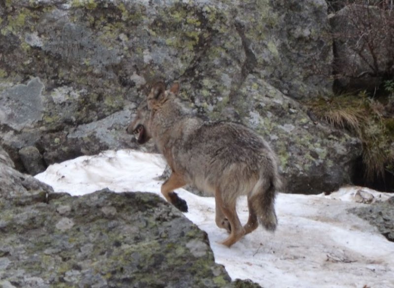 Vallon des étages (10) - Copie.JPG