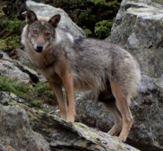 Vallon des étages (11) - Copie - Copie.JPG