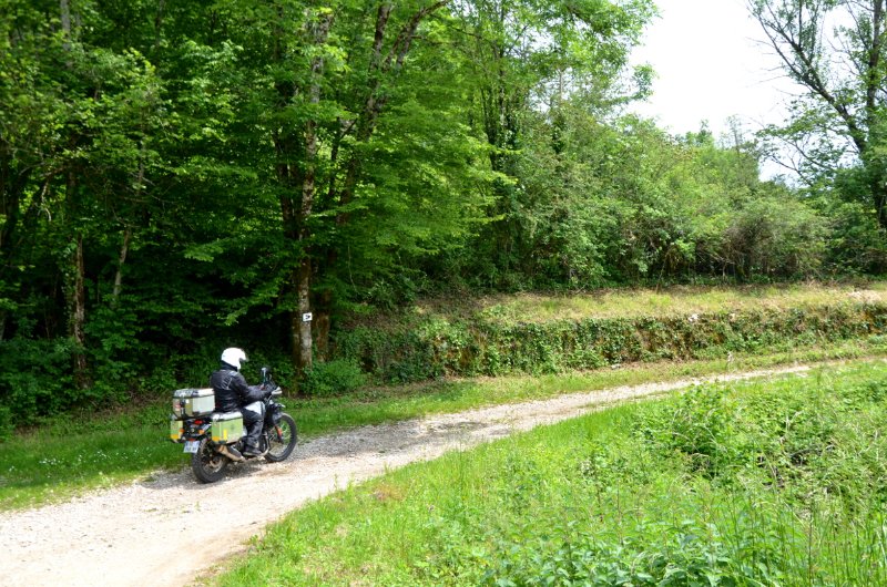 ECJU 228r.jpg