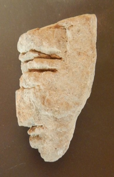 DSCN6799.JPG