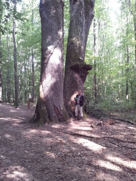 2011-09-25 15.35.01.jpg