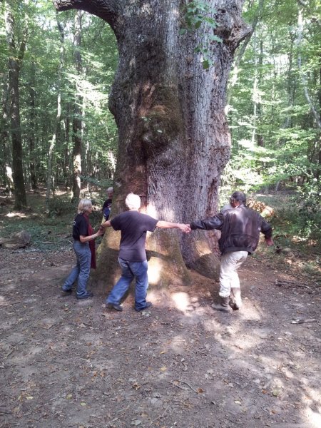 2011-09-25 15.44.09.jpg