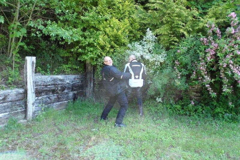 pipi druid tmax 2014.jpeg