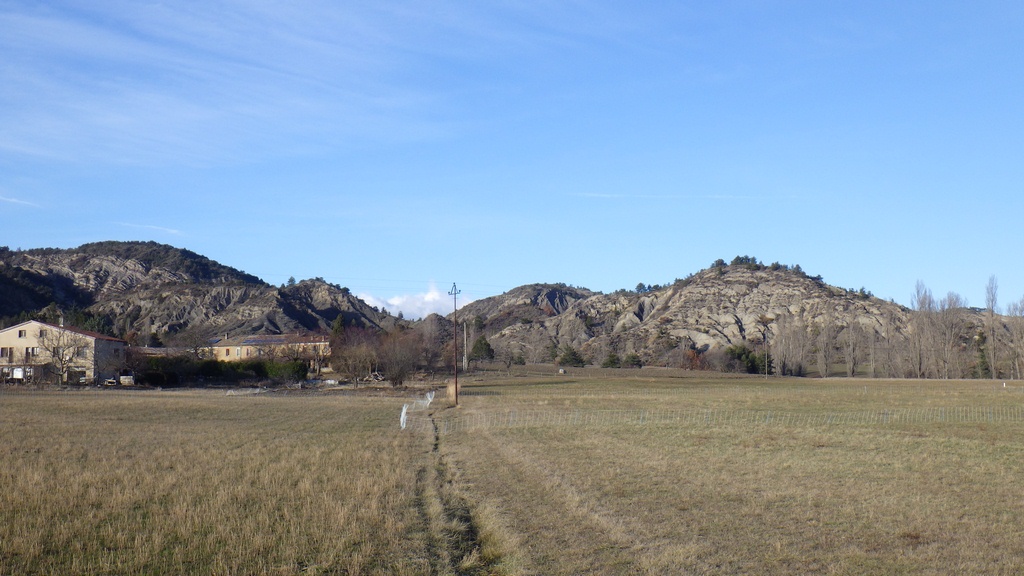 RIMG0912 (Copier).JPG