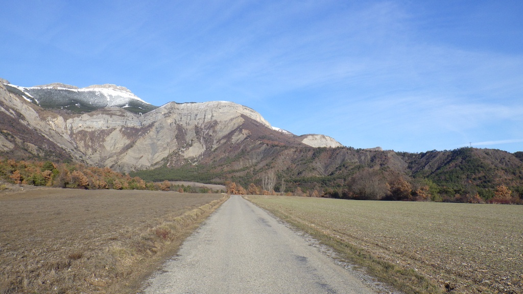 RIMG0917 (Copier).JPG