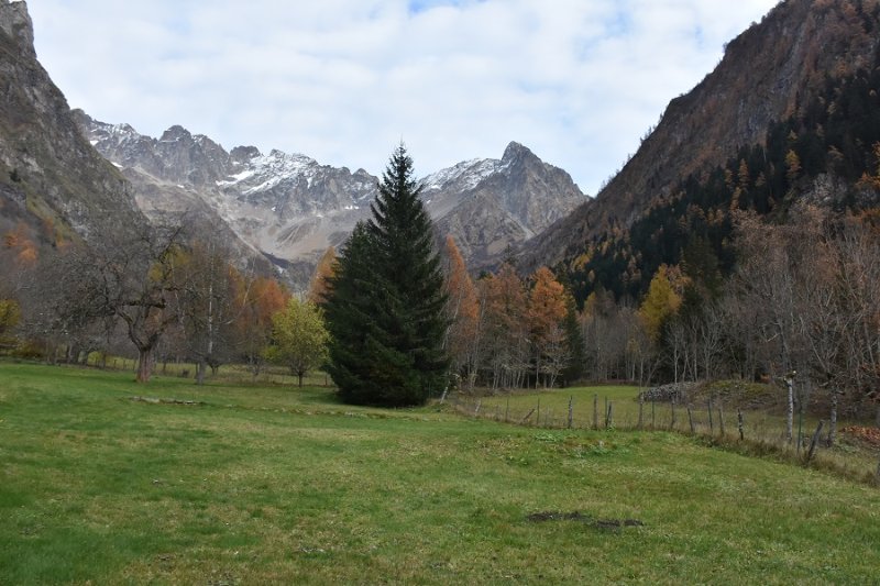 Travaux (8) - Copie.JPG