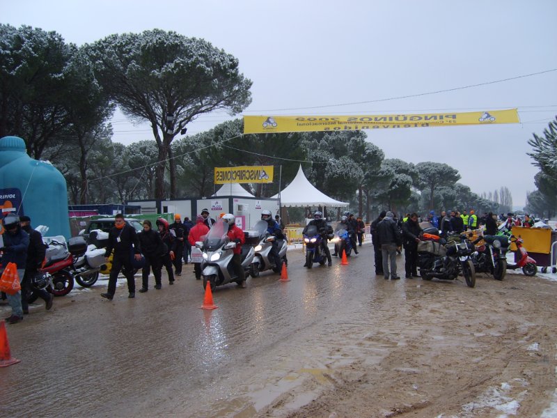 S6005639.JPG