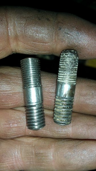 20240319_190022.jpg