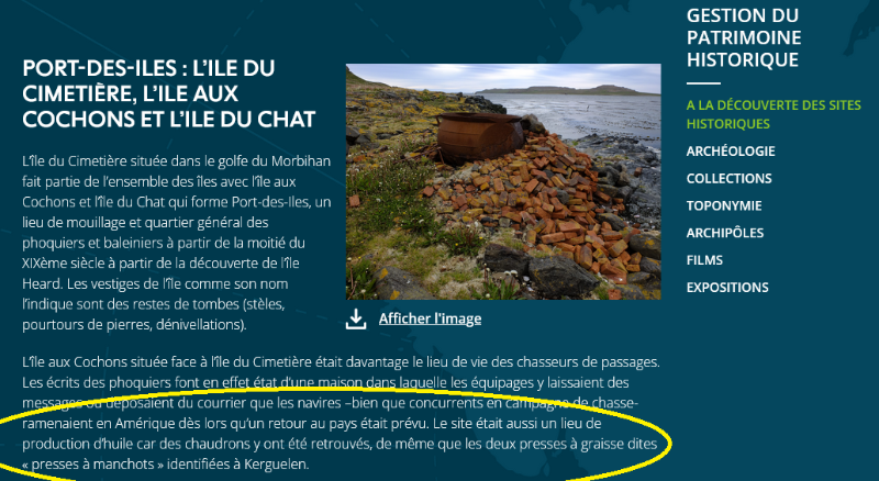 Sans titre.png