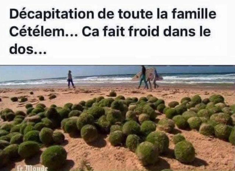 Cetelem.jpg