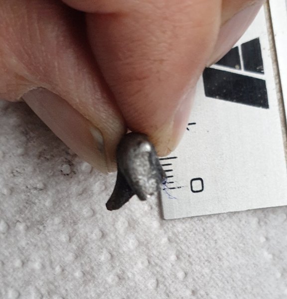 Brisure mâchoire de frein arrière - 1.jpg