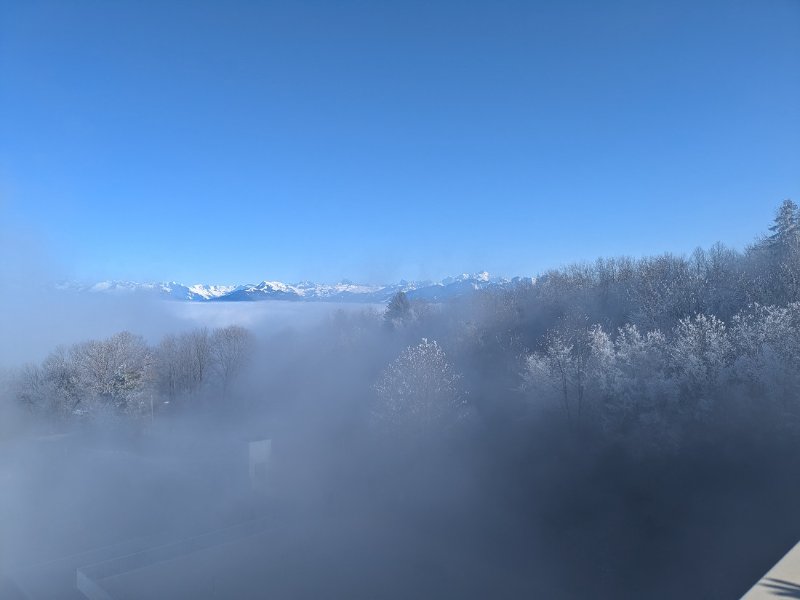 PXL_20250202_140543429.jpg
