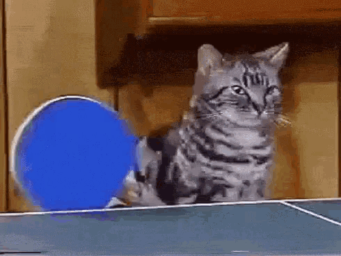 7482d8c1-1c5b-45ee-b6c1-f947672cb6df_357861964591957.gif