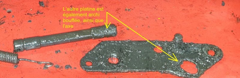 Platine gauche bouffée.jpg