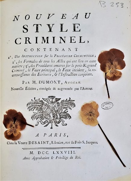 Fleurs4.jpg