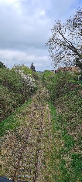 20250414_123602y.jpg