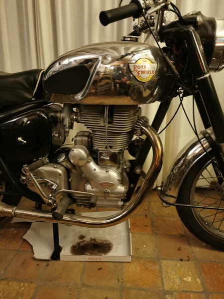 Bullet BH carton.jpg