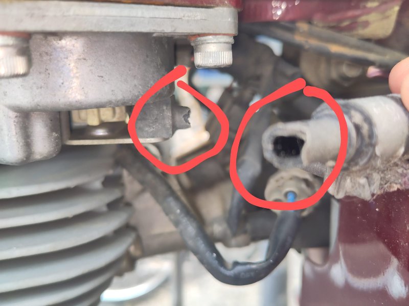 WhatsApp Image 2025-06-01 à 17.22.04_cf995b72.jpg