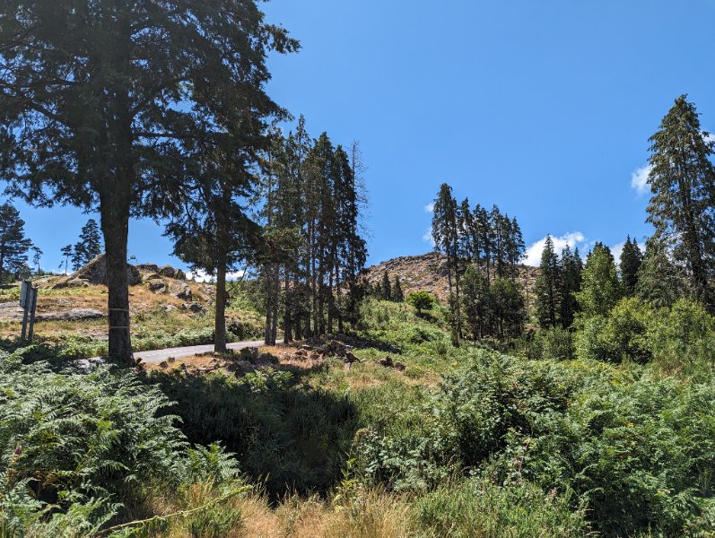 PXL_20250626_112315440.jpg
