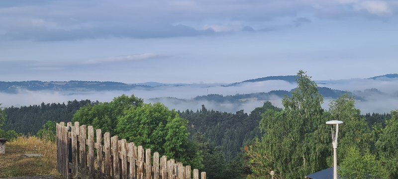 20250726_083500.jpg