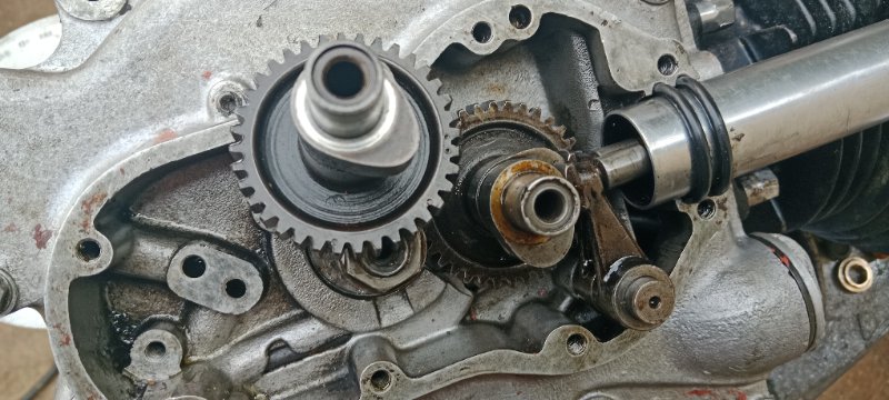 IMG_20250818_174155.jpg