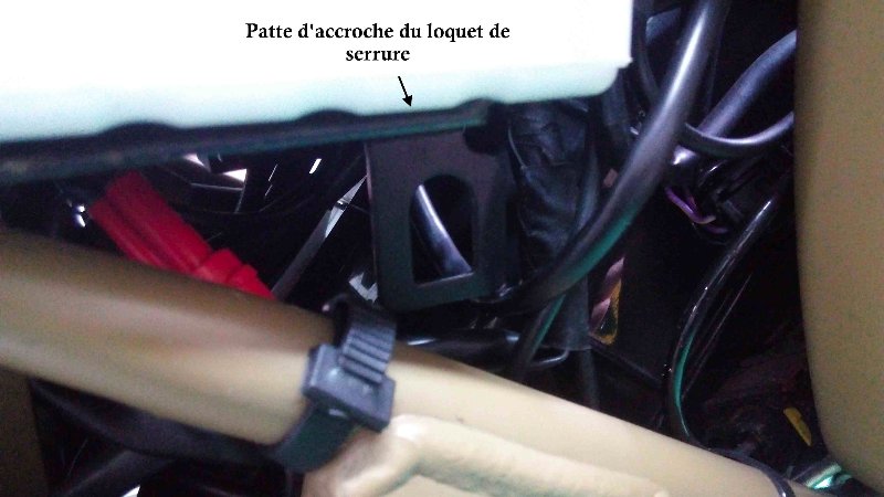 Patte d'accroche.jpg