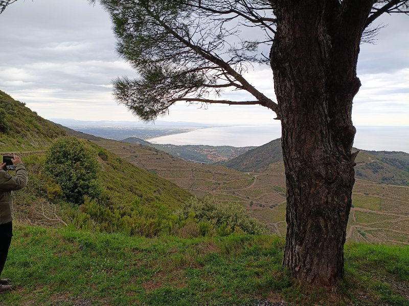 WhatsApp Image 2025-09-29 à 10.53.00_4d708b45.jpg