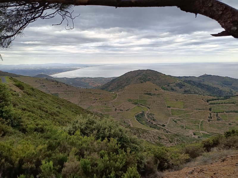 WhatsApp Image 2025-09-29 à 10.53.00_b18b66fb.jpg