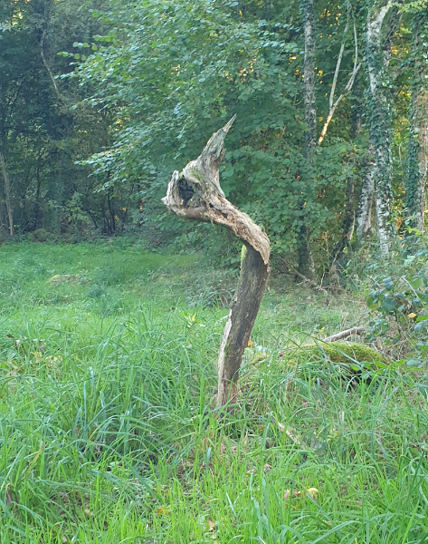 ami ou ennemi....png